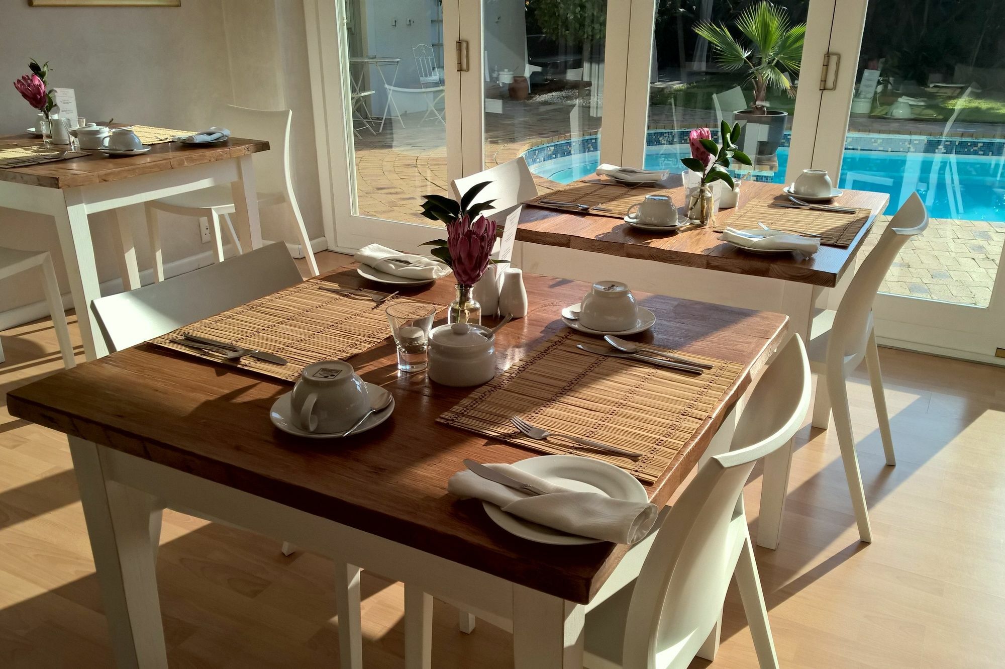 Wild Olive Guest House & Villa Kapsztad Zewnętrze zdjęcie