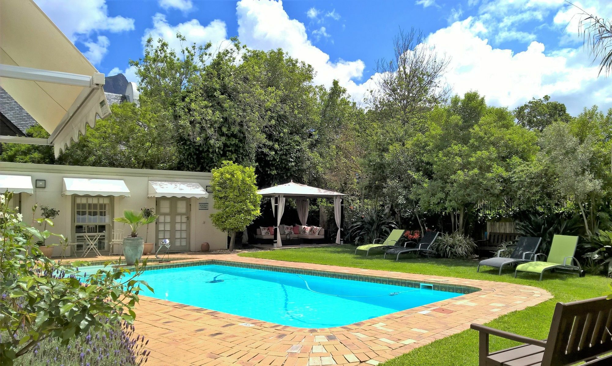 Wild Olive Guest House & Villa Kapsztad Zewnętrze zdjęcie